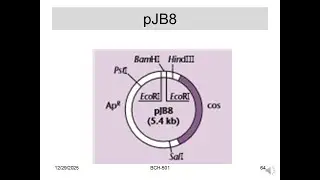 BCH-501-Vectors-cosmids