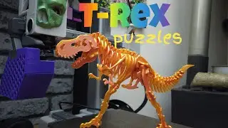 3D printed Dinosaur T-Rex puzzles. Timelapse. Bambu lab A1...