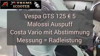 Vespa GTS 125   Euro 5   Auspuff + Vario