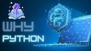 why we want to choose python