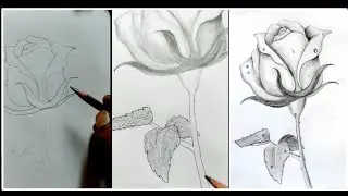 Rose Drawing Tutorial Vary Easy/Rose Drawing 🌹/#Lalit Modi