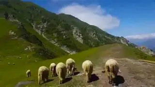 Kumrat Valley Documentary- A heaven on Earth- Travel guide of Pakistan-HD