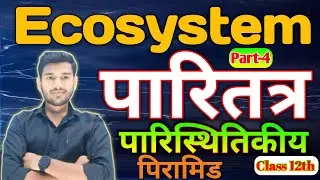 Ecosystem | पारिस्थितिकी पिरामिड (Ecological Pyramid) | part-4 | Class12 Biology का महत्वपूर्ण टॉपिक