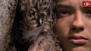Keda Saves an Injured Wolf | Alpha 4K Emotional Scene.