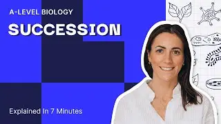 Succession EXPLAINED In 7 Minutes