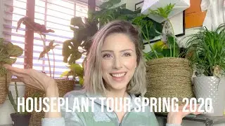 HOUSE PLANT TOUR SPRING 2020