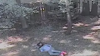 teve-nauta consigue su sue&ntilde;o de ser boomy the cat