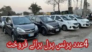 4 عدد پرنس پرل برائے فروخت