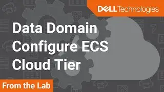 Configure ECS Cloud Tier with Data Domain