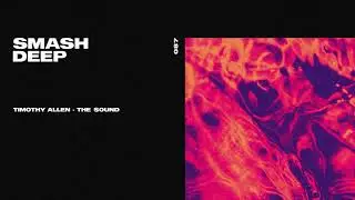 Timothy Allen - The Sound