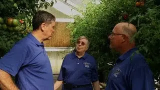 UF/IFAS Research: Plant Innovation Program