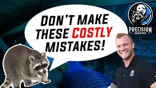 $1,000 Gone&hellip; Ask These Questions BEFORE Hiring A Wildlife Removal Company!