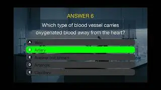 Human Body & Biology (Part 2)