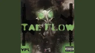 TAEFLOW