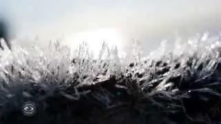 Bigfootage Reel