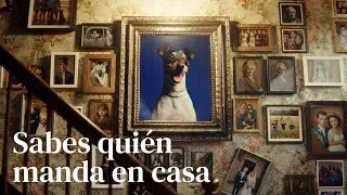 Sabes qui&eacute;n manda en casa &middot; MISCOTA &middot; Spot 30
