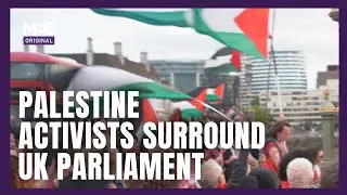 Pro-Palestine activists surround UK Parliament