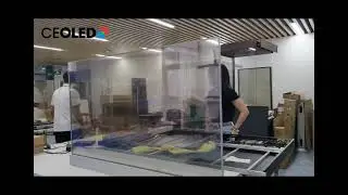 55 inch L Open Cell Transparent OLED Display