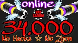 34,000 Epic Online Slitherio Pro Gameplay No Zoom No Hacks Highscore