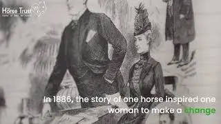 Celebrating 135 Years of The Horse Trust