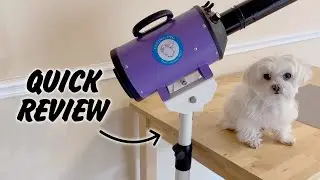 Flying Pig Grooming Dryer with Stand