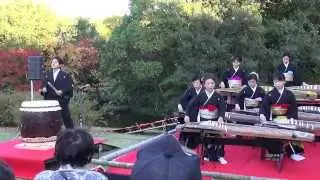 三つ音会（筒井詠子）「千本桜」琴演奏　2013年１１月２３日・白鳥庭園