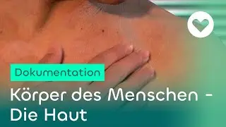 K&ouml;rper des Menschen - Die Haut