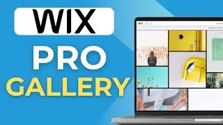 How To Use Wix Pro Galleries As Categories  Wix  Wix Tutorial  Web Design  Wix Website