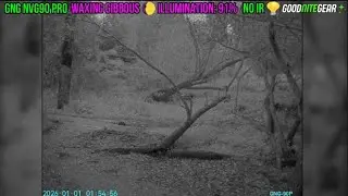 GNG NVG90 Pro Night Vision Walkaround