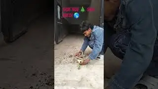 save tree save earth 🌎🌎#earth #plants #tree #shorts #shortsfeed #viral #vlog #trending #shortvideo