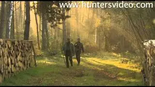 Chasses au daim en Hongrie - Hunters Video
