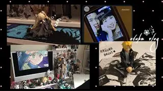 ❀ VLOG 숨겨왔던 나의 .. 오타쿠력을 .. 보여줄게 .. ♥ • 카구라바치 • 국전 굿즈샵 •  카미나리 피규어 •  위츄 • 헬로키티 • 다꾸