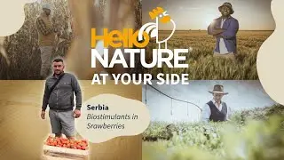 Biostimulants on Strawberries - Serbia testimonial 2 (HELLO NATURE AT YOUR SIDE)