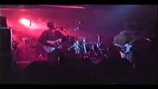 Prunus Tenella - World Alone