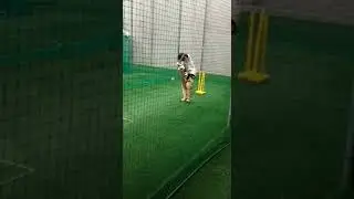 15yr old Owais Shaikh &ndash;A Quality Wicket Keeper Batsman