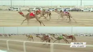 ش1 سباق الحقايق (الأشواط العامة) مهرجان المؤسس مساء 29-11-2020