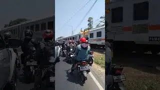 Kereta Api Pandalungan Melintas di Pecoro