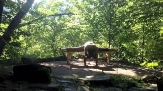 Advanced Zen Yoga - Dragonfly Bench Splits