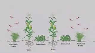 Introduction to Push-Pull technology