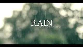 RAIN Cinematic Video | 4k | Rainy Nature B Roll | Nikon z6ii | cinematic video ideas | handheld