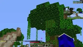 my worst choke in speedrunning minecraft... |NR Blind, NR End Enter and choke Sub 11