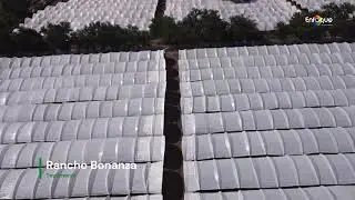 ENFOQUE DRONE RANCHOS