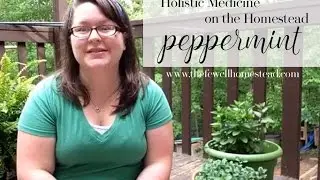 Holistic Medicine on the Homestead | Peppermint