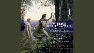 Im Reich der Schatten, Act III, Scene 1: 