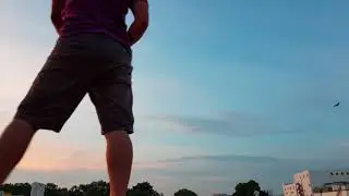 eagle kite panying