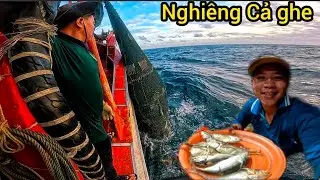 Cẩu Đục Cá Khủng 