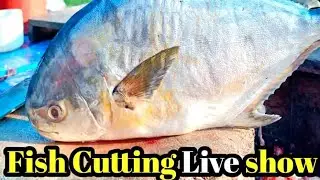 Amazing Catfish Cutting Skill Live In village fish market today MunFish Cut  is live