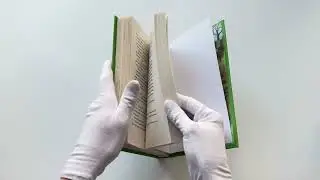 Смерть негодяя