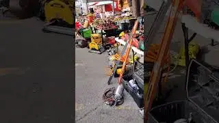 Caminando en la pulga 