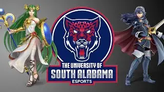 My Collegiate Smash Bros Experience